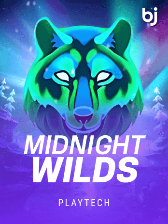 Midnight Wilds